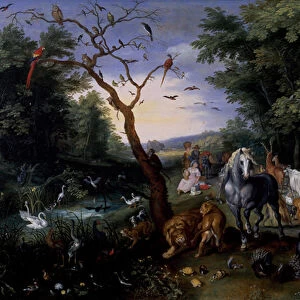 The Entry of the Animals into Noahs Ark (oil on panel)