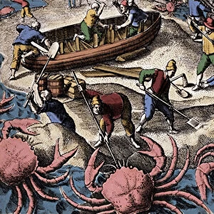 European navigators fighting big crab. Engraving from "