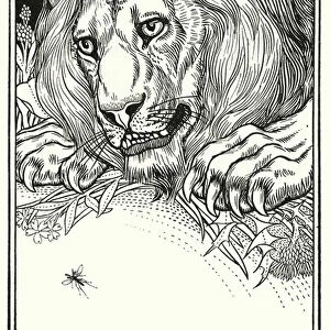 Fables of La Fontaine: The lion and the gnat (litho)