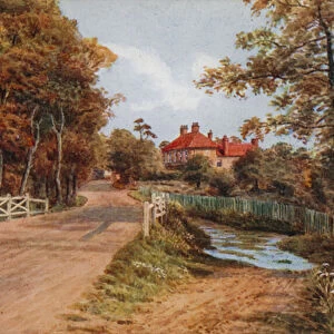 Fernhill Lane, New Milton (colour litho)