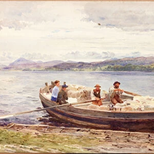 Ferrying Sheep on a Scottish Loch (w / c on paper)