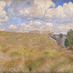 A Field of Waving Rye, 1894 (oil on canvas)