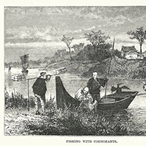 Fishing with cormorants (engraving)