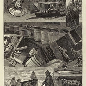 Our Fishing Industries: Pilchard Seining in Cornwall (engraving)