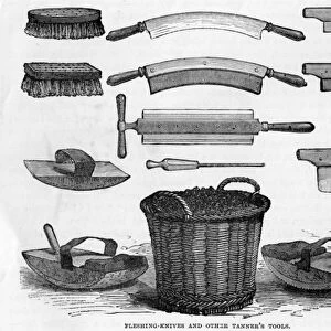 Fleshing Knives and other Tanners Tools (engraving)