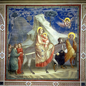 Giotto Collection: Nativity scenes