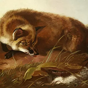Fox, c. 1880 (oil on canvas & wood)