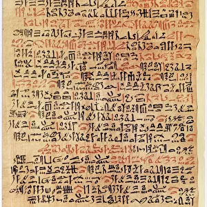 Fragment of the Ebers Papyrus, New Kingdom, c. 1550 BC (papyrus)