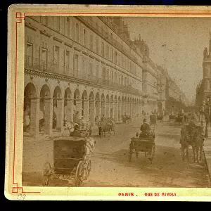 France, Ile-de-France, Paris (75): Rue de Rivoli, Jardin des Tuileries, 1875