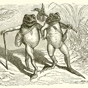 The Two Frogs (engraving)