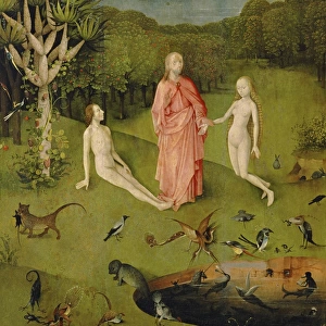 Hieronymus Bosch Collection: Garden of Earthly Delights