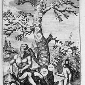 The genealogical tree from Adam to Abraham - bible, 18th century