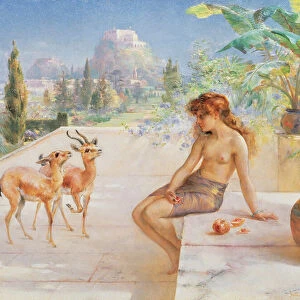 A Girl with Gazelles