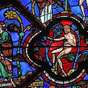 The Good Samaritan window: Adam in the Garden of Eden (w44) (stained glass)