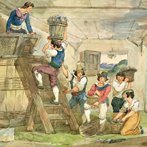 Grape-pickers carrying grapes to the press (pen & ink and w / c on paper)
