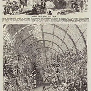 The Great Chatsworth Conservatory (engraving)