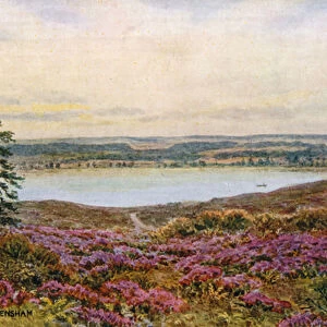 The Great Pond, Frensham (colour litho)