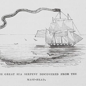 The Great Sea Serpent discovered from the Mast-Head (engraving)