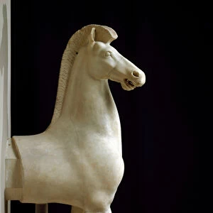 Greek art: horse of manege. Marble sculpture. 520-510 BC. Dim
