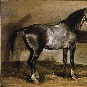 Grey Horse at the Ratelier - oil on canvas, 19th century