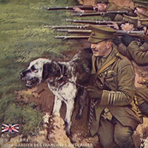 Guard dog in the British trenches (colour litho)