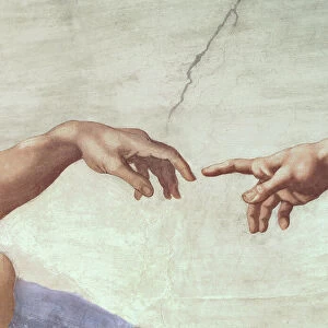 Michelangelo Collection: Frescoes