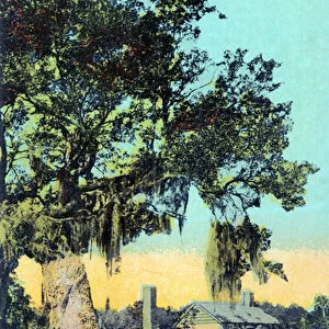 Gustave Brion