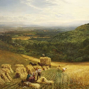 Harvest Time, 1860 (oil on canvas)