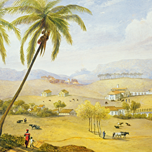 Haughton Court, Hanover, Jamaica, c. 1820 (w / c on paper)