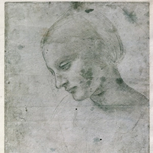 Famous works of Leonardo da Vinci