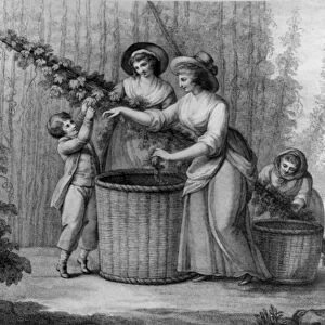 Hop Pickers, engraved by William Dickinson, 1803 (engraving)