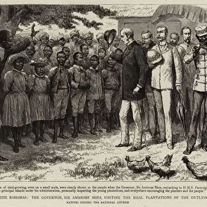 The Hope of the Bahamas, the Governor, Sir Ambrose Shea, visiting the Sisal Plantations of the Outlying Islands (engraving)