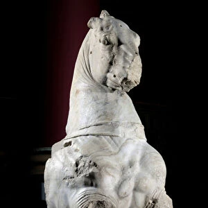 Front part of a horse (marble) (see also 371182 & 371183)