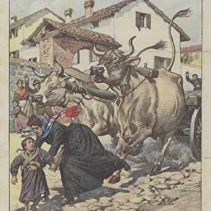 Humble Heroes, A Teacher Who Is Killed By Two Enraged Oxen To Save A Girl, Near Brescia (colour litho)