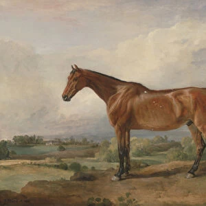 A Hunter in a Landscape, 1810 (oil on panel)