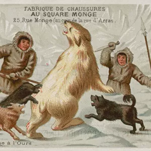 Hunting polar bears with dogs (chromolitho)