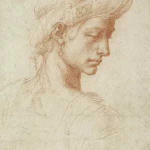 Michelangelo Buonarroti Collection: Michelangelo's drawings