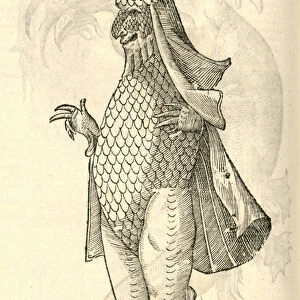 illustration of "Monstrum Marinum rudimenta habitus Episcopi referens"