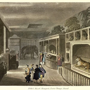 Interior view of Politos Royal Menagerie, Exeter Change, Strand, 1812 (aquatint)