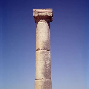 Ionic column on the Decumanus Maximus (photo)