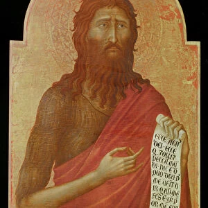 John the Baptist (oil on panel)