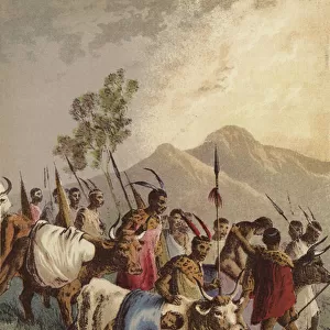 Kaffirs carrying their wounded from the war (colour litho)