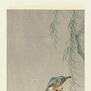 Kingfisher on a tree stump, 1900-36 (colour woodcut)