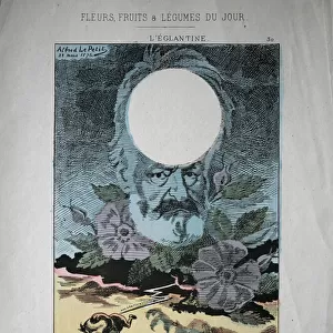L Eglantine: cartoon of Victor Hugo in "Flowers, Fruits and Vegetables of the Day"Caricature, 1871 (engraving)