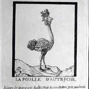 La Poulle d Autriche, caricature of Marie-Antoinette (1755-93) 1791