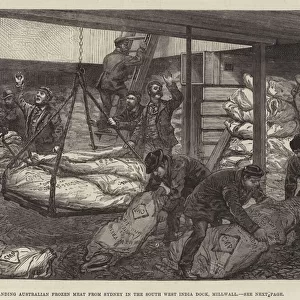 Landing Australian Frozen Meat from Sydney in the South West India Dock, Millwall (engraving)