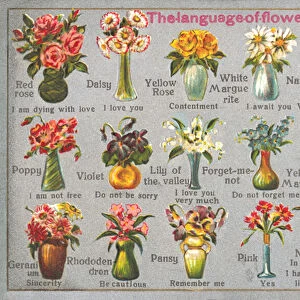 The Language of Flowers (colour litho)