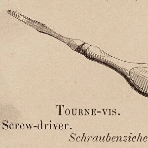 Le Vocabulaire Illustre: Tourne-vis; Screw-driver; Schraubenzieher (engraving)