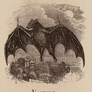 Le Vocabulaire Illustre: Vampire; Vampir (engraving)