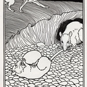 Les deux rats, le fox et l egg - The Two Rats, the Fox, and the Egg - (Collection 2, Book 9, Fable 20) - engraving from "A Hundred Fables of La Fontaine"Illustrated by Percy J. Billinghurst (1871-1933) - 1899